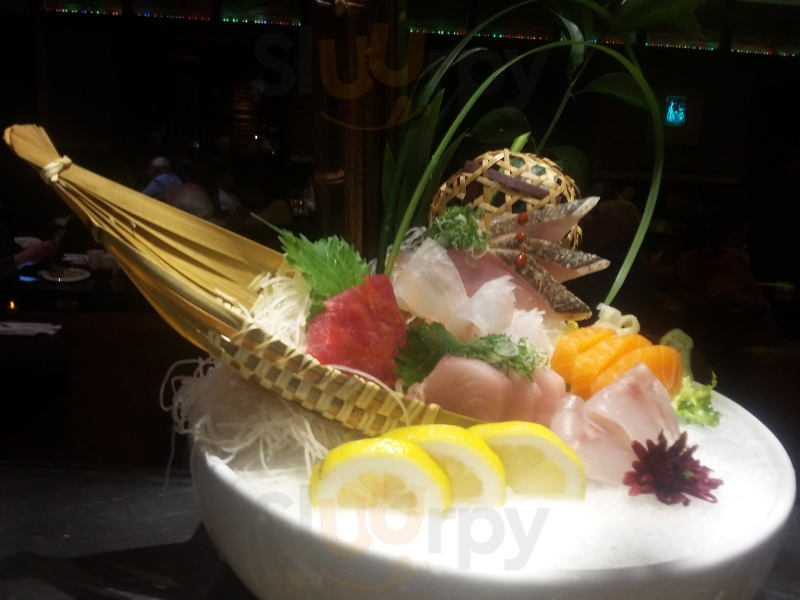 Aji Sushi Japanese Fusion