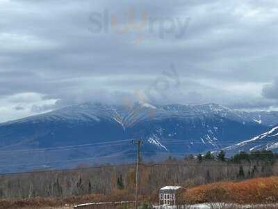 Black Mtn Burger Co.