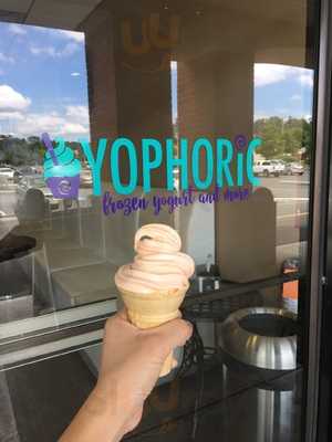 Yophoric- Frozen Yogurt