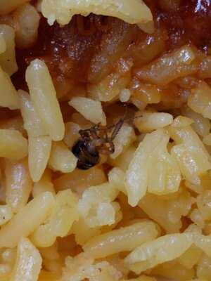 Golden Dragon Kitchen