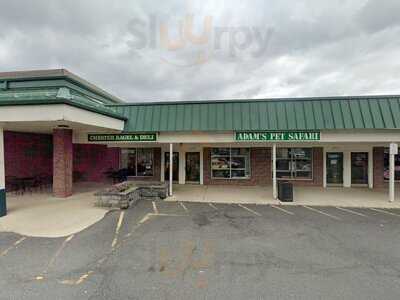 Bagel Cafe Of Chester