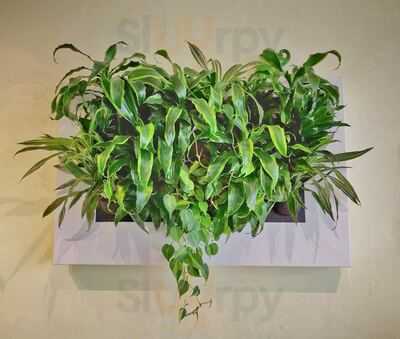 Green Elephant Juicery