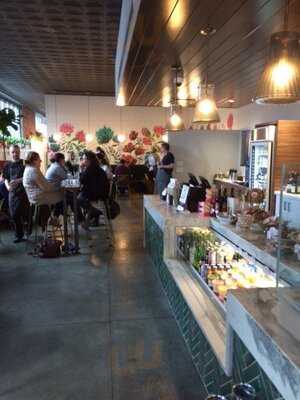 The Clover And The Bee