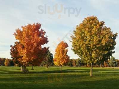 Sparky's Barracuda Tiki Bar