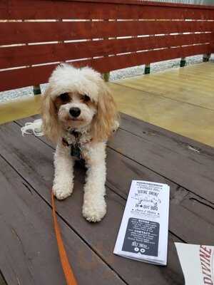 Divine Swine In-out Bbq