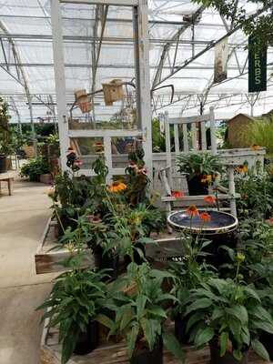 Woodstock Garden Cafe