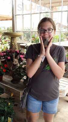 Woodstock Garden Cafe