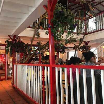 Pollos Mario Steak House And Seafood