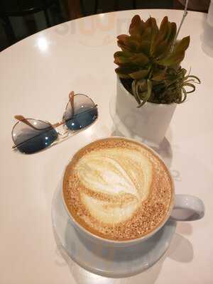 Paloma Coffee Co.