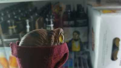 Foto 69745176