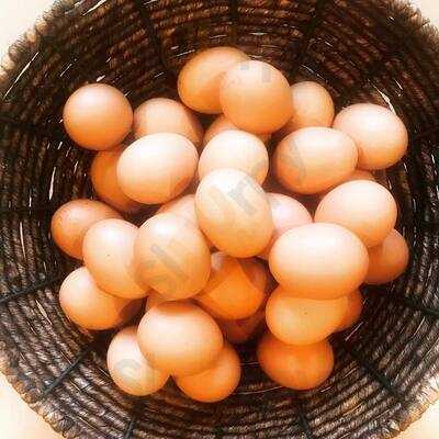 Koinonia, Organic Juice Bar