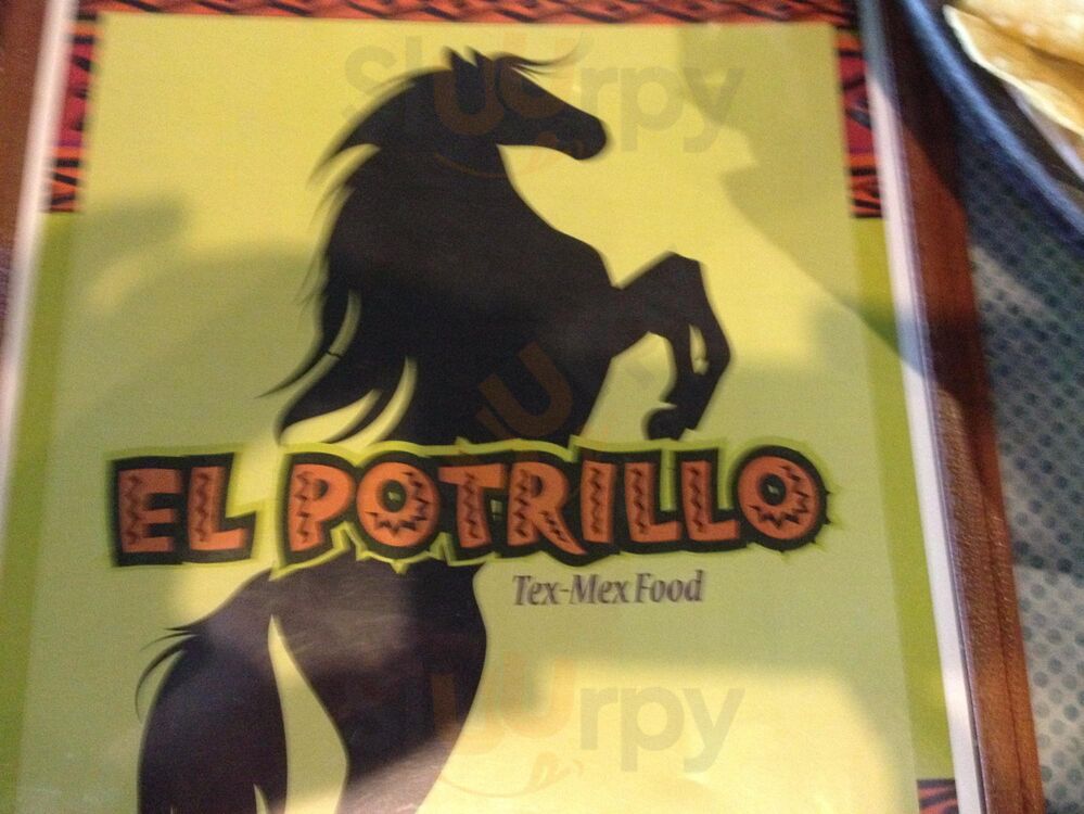 El Potrillo
