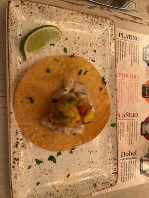 Elephant And The Dove