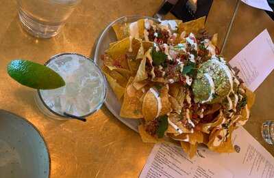 Elephant And The Dove