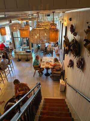 Elephant And The Dove