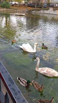 Foto 69762184