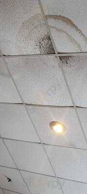 Ny Great Wall Buffet