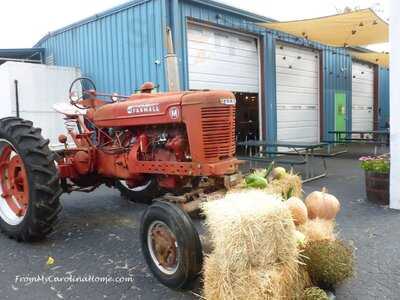 The Rural Seed Restaurant