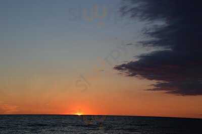 Foto 48063905