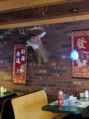 Wok And Roll Chinese Restaurant