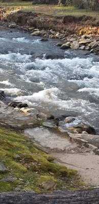 Foto 11639515