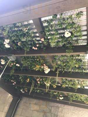 Everyday People Cafe