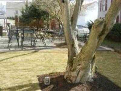 Courtyard Cafe' On Main