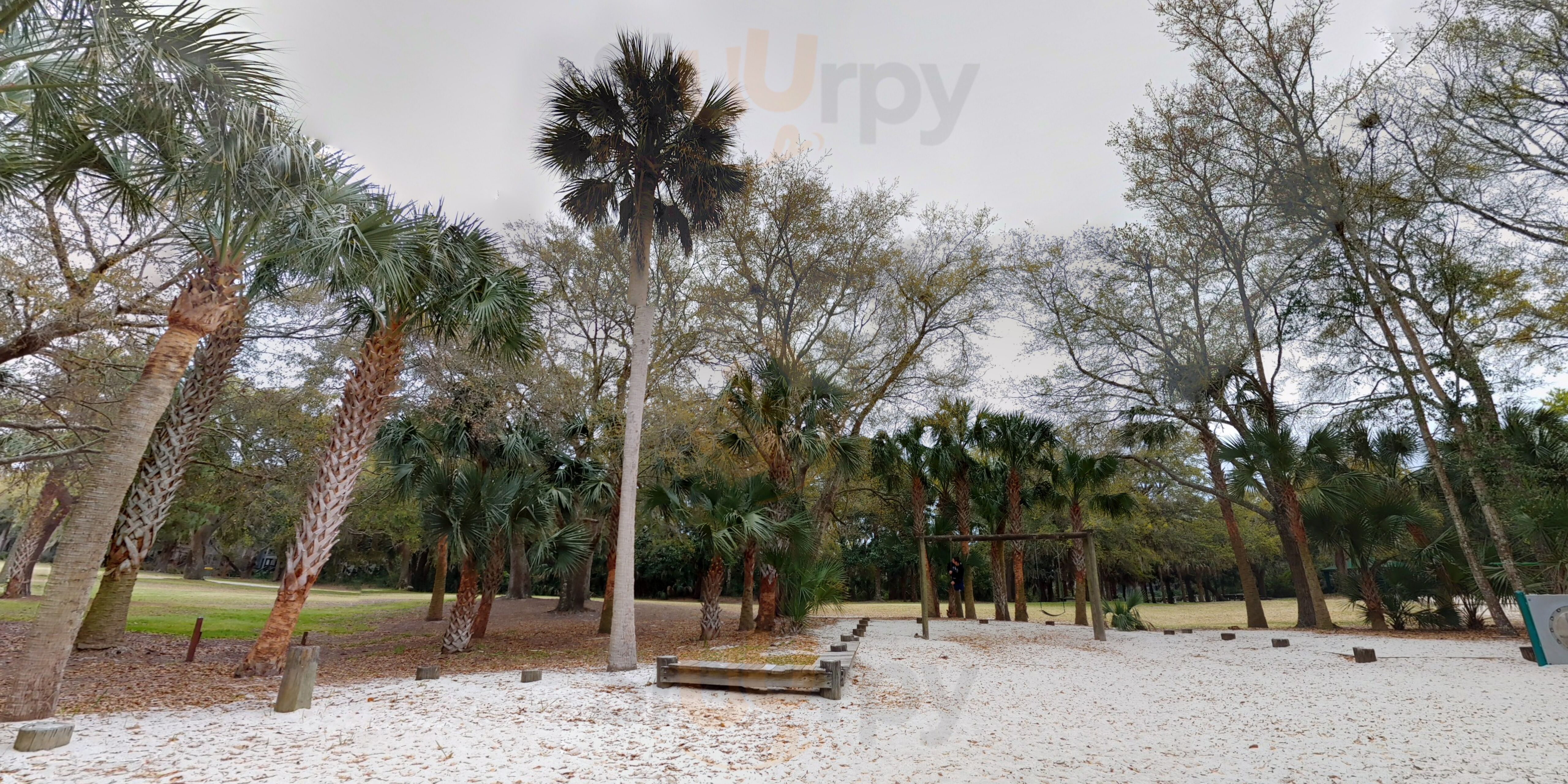 The Night Heron Grill