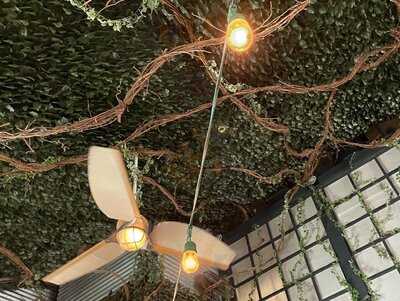 Mccleary's Public House