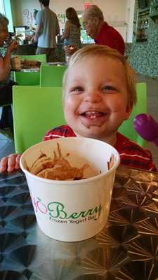 Yoberry Frozen Yogurt Bar