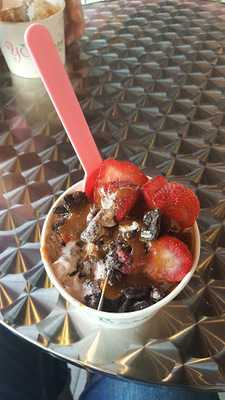 Yoberry Frozen Yogurt Bar