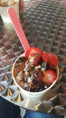 Yoberry Frozen Yogurt Bar