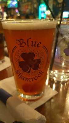 The Blue Shamrock Pub