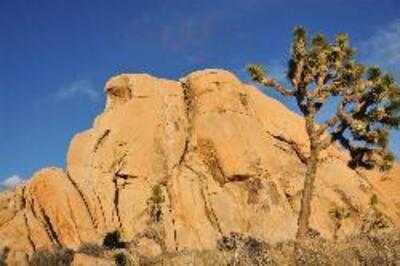 Sam's Indian Food & Pizza