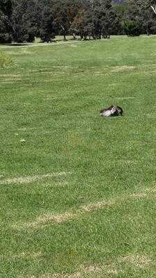 Foto 12971254