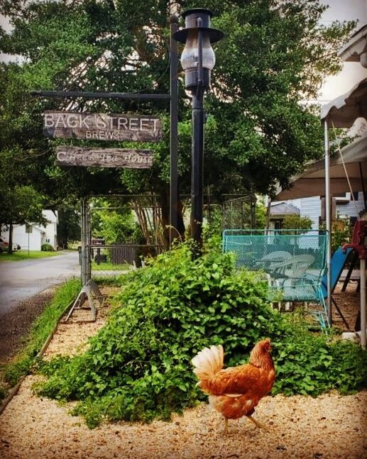 Back Street Brews Coffee & Tea House