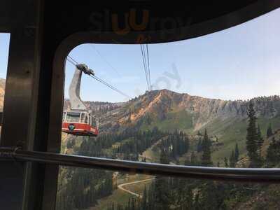 The Summit At Snowbird
