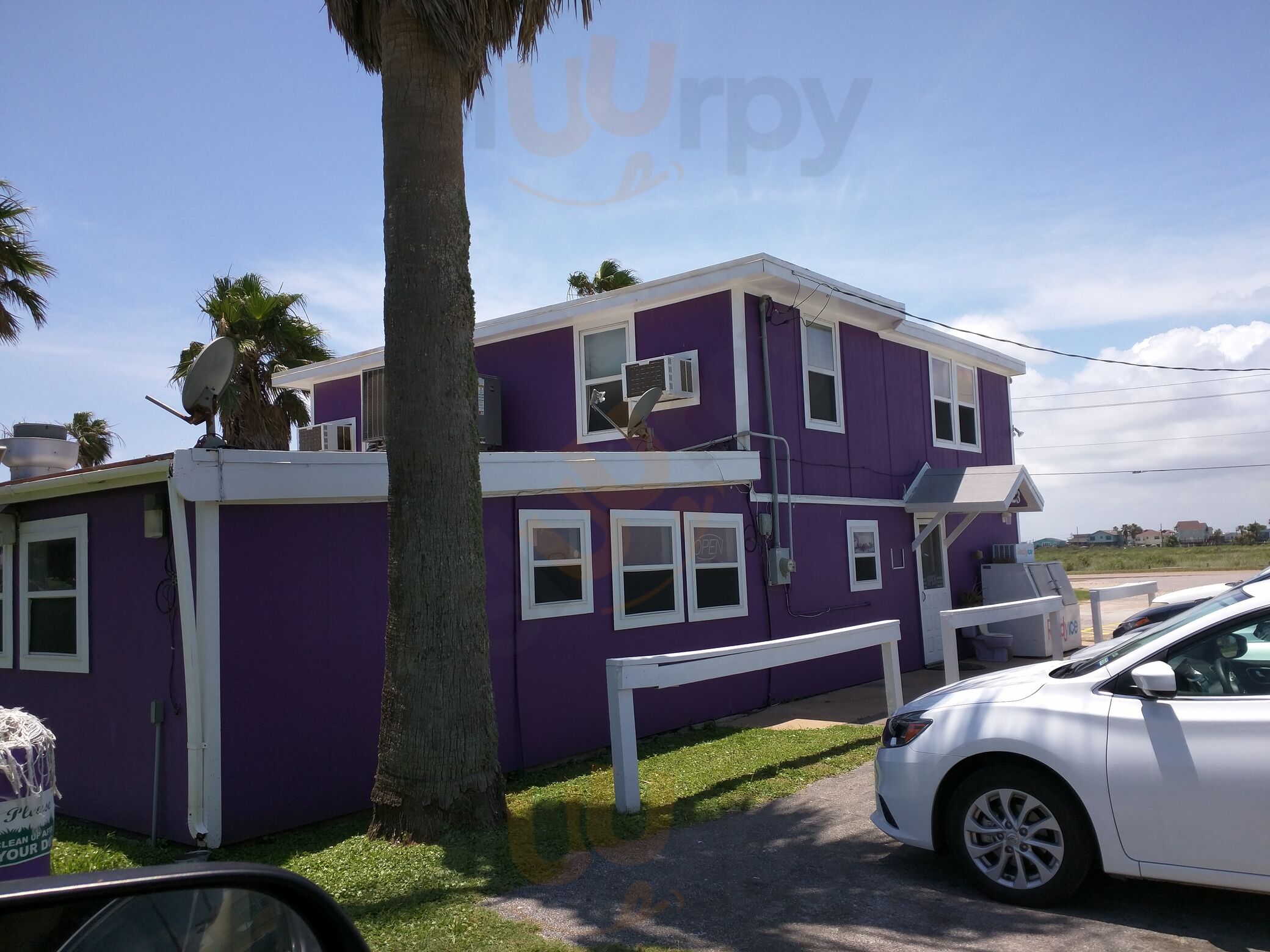 Kitty's Purple Cow Cafe