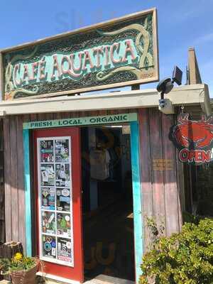 Cafe Aquatica