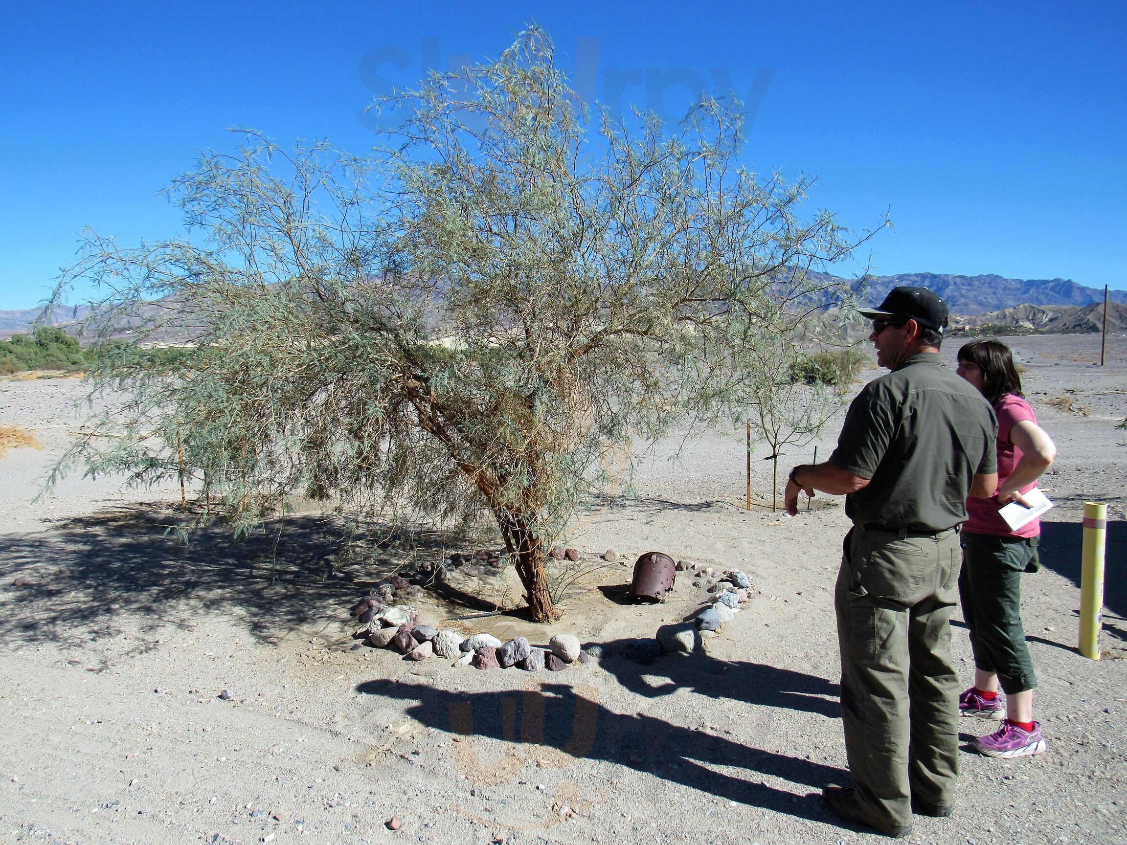 Timbisha Taco Shop & Hawaiian Shaved Ice