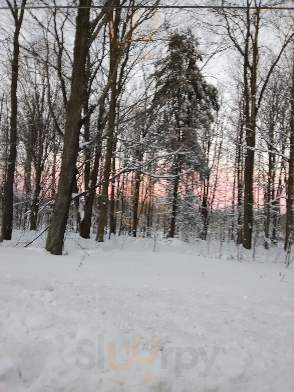 Cassadaga Country Club