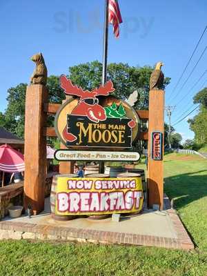 The Main Moose
