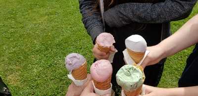 Rochelle's Ice Cream Stop