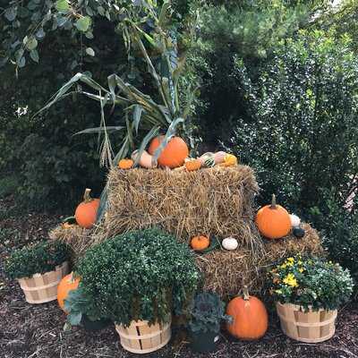Benton's Sugar Shack