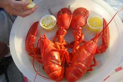 Broad Cove Marine Services