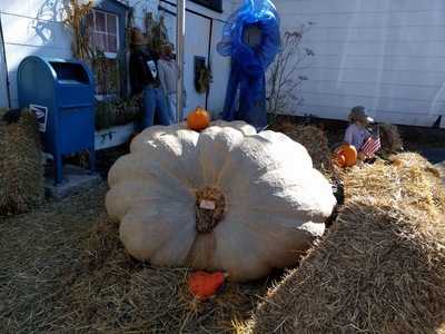 Carversville General Store