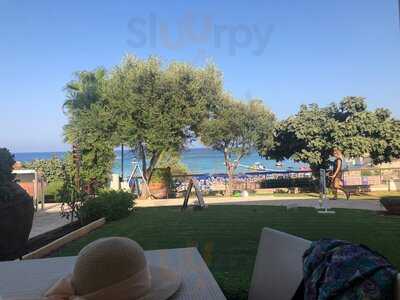 The Fig Tree Restaurant