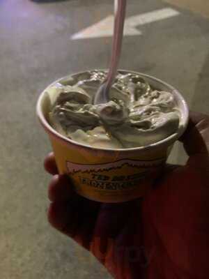 Ted Drewes Frozen Custard