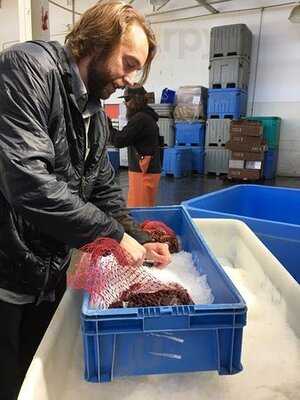 Don Of The Bimini Twist