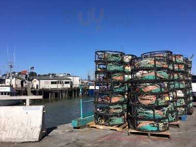 Don Of The Bimini Twist